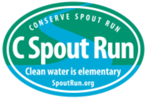 Putting Down Roots on Spout Run (video journal)