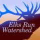 Elks Run Watershed Group Takes Root on 9