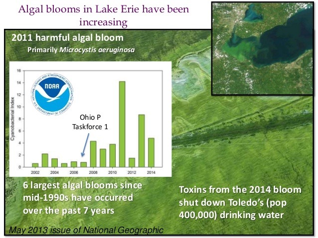 NOAA graphic of algae bloom data in Lake Erie.