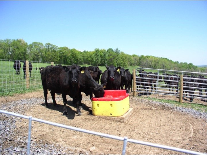 CRP helps with livestock waterers