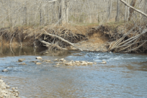 Sleepy Creek Restoration Project Nears Completion