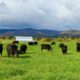 Protecting the Farm Forever With a Conservation Easement–Chapter Two, Securing an Easement Holder