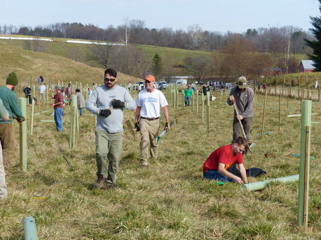 Healing the earth with trees. Volunteers plant trees at Whiskey Creek Angus.