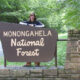 Contract Position: Monongahela National Forest Organizer