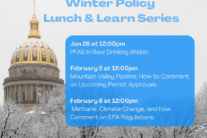 Winter Lunch & Learn Series