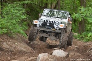 WV Public Lands: Off-Road Vehicles on State Forests, Conversation on Headwaters, WV Christmas Tree