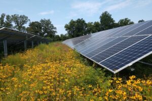 Utility Scale Solar is Coming to a Farm Near You