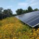 Utility Scale Solar is Coming to a Farm Near You