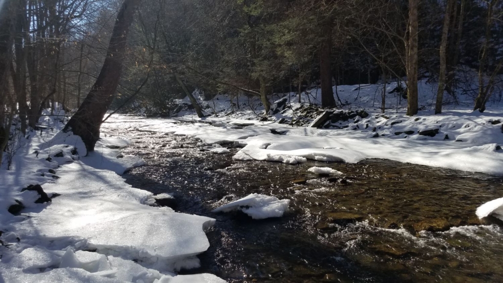 Winter on Hills Creek by Chad Cordell