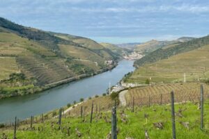 Terraces, Soil Conservation, and the Douro Region of Portugal