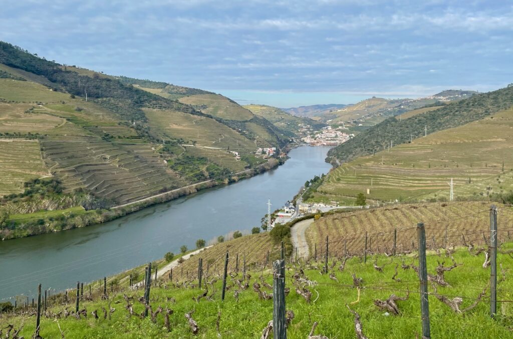 The terraced landscape of the Douro River Valley.