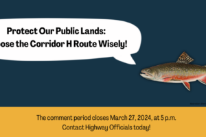 Action Alert: Choose the Corridor H Route Wisely