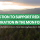 Urgent: Last Chance to Comment on Red Spruce Restoration Plan