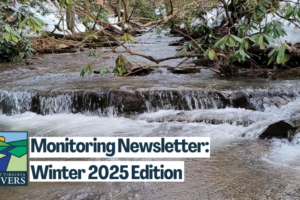 Monitoring Newsletter: Winter 2025
