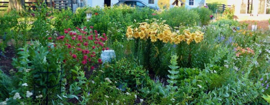 The Gardens of Whiskey Creek