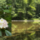 WV Rivers News: June 2026