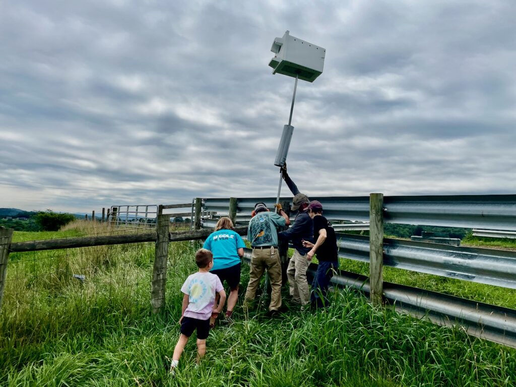 American Barn Owl nesting box.