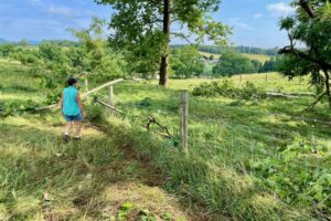Whiskey Creek Almanac: August 2026, Climate Change, Mycofiltration, and the American Barn Owl